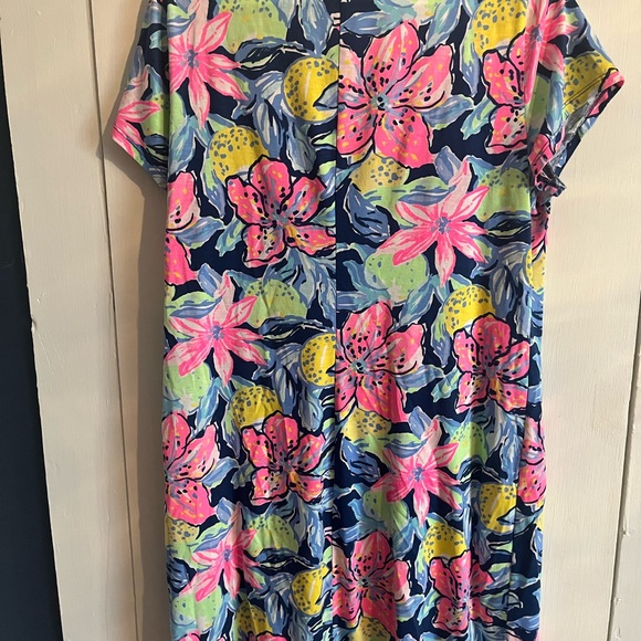 Lilly Pulitzer dress - Picture 2 of 3